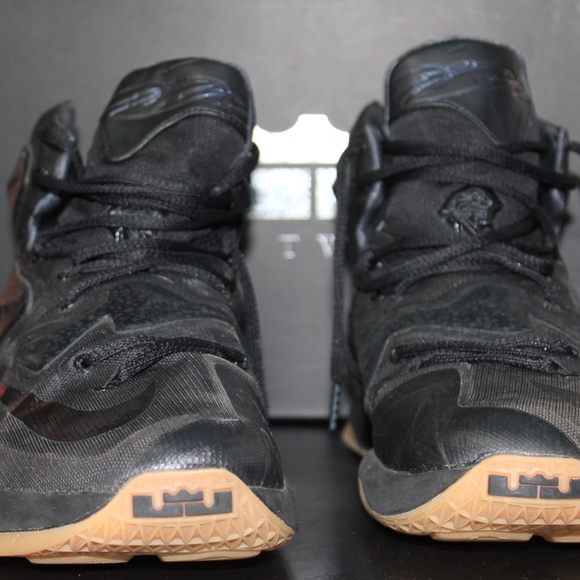 Nike LeBron James 13 Black Lion 807219-001 - Picture 3 of 4